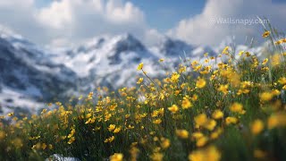 Peaceful Scenic Alpine Mountain Meadow Free Nature Live Wallpaper Desktop HD Download #livewallpaper screenshot 1