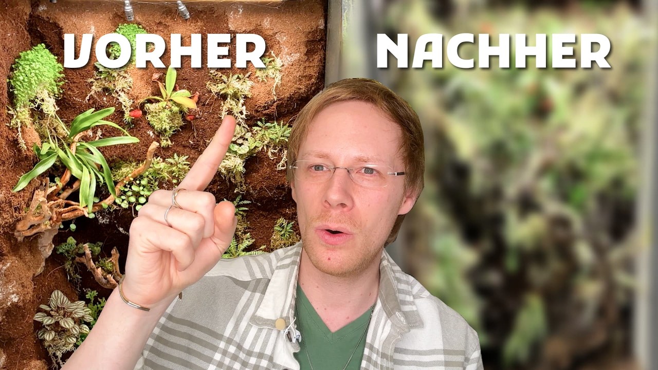 1 Jahr Paludarium im IKEA-Schrank: Die unglaubliche Entwicklung!