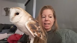 EVERYTHING ABOUT THE OWL'S EYES & AND EYE SIGHT: OWL VISION by Vegan Hippie 16,808 views 5 years ago 7 minutes, 58 seconds