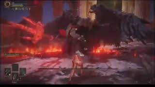 Elden ring: MOHG Lord Of Blood no hit level 1  