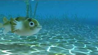 Puffer Fish animation
