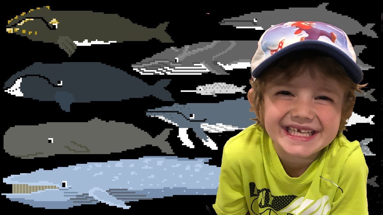 Whales - Animals Series - The Kids' Picture Show (Fun & Educational Learning Video) - Oskar Review