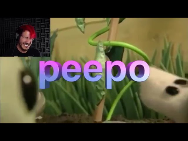 Markiplier reacts to Peepo class=