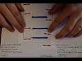 Sliding filament theory