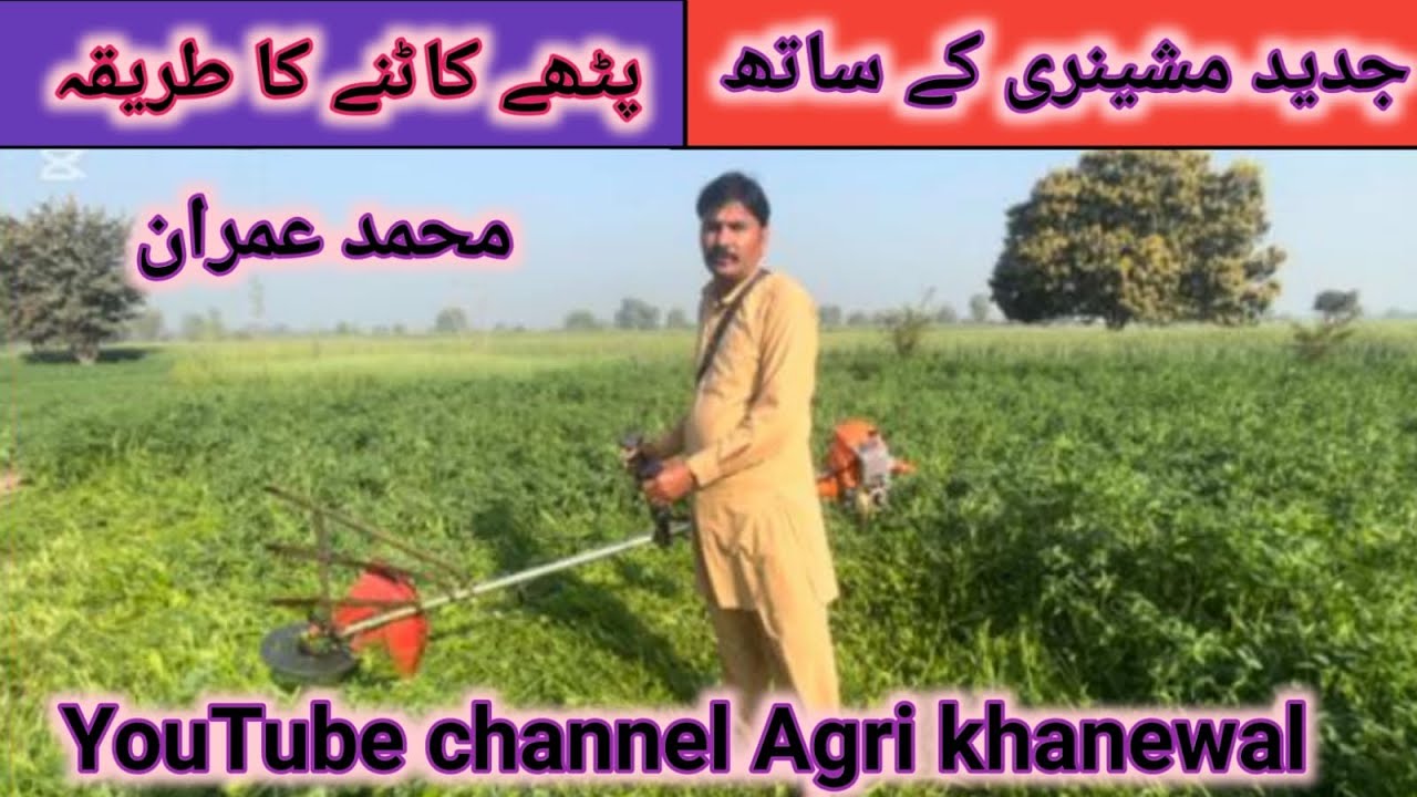 Jaded machinery sy pathy katny ka tarika ||جدید مشینری سے پٹھے کاٹنے کاُطریقہ || @AgriKhanewal159 