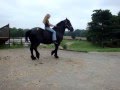 MOV03376