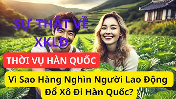 SỰ THẬT VỀ XUẤT KHẨU LAO ĐỘNG THỜI VỤ VISA E8: Vì Sao Hàng Nghìn Người Lao Động Đổ Xô Đi Hàn Quốc?
