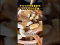 カナダの田舎町で生まれたカロリー爆弾の正体 #グルメ#海外#飯テロ#雑学