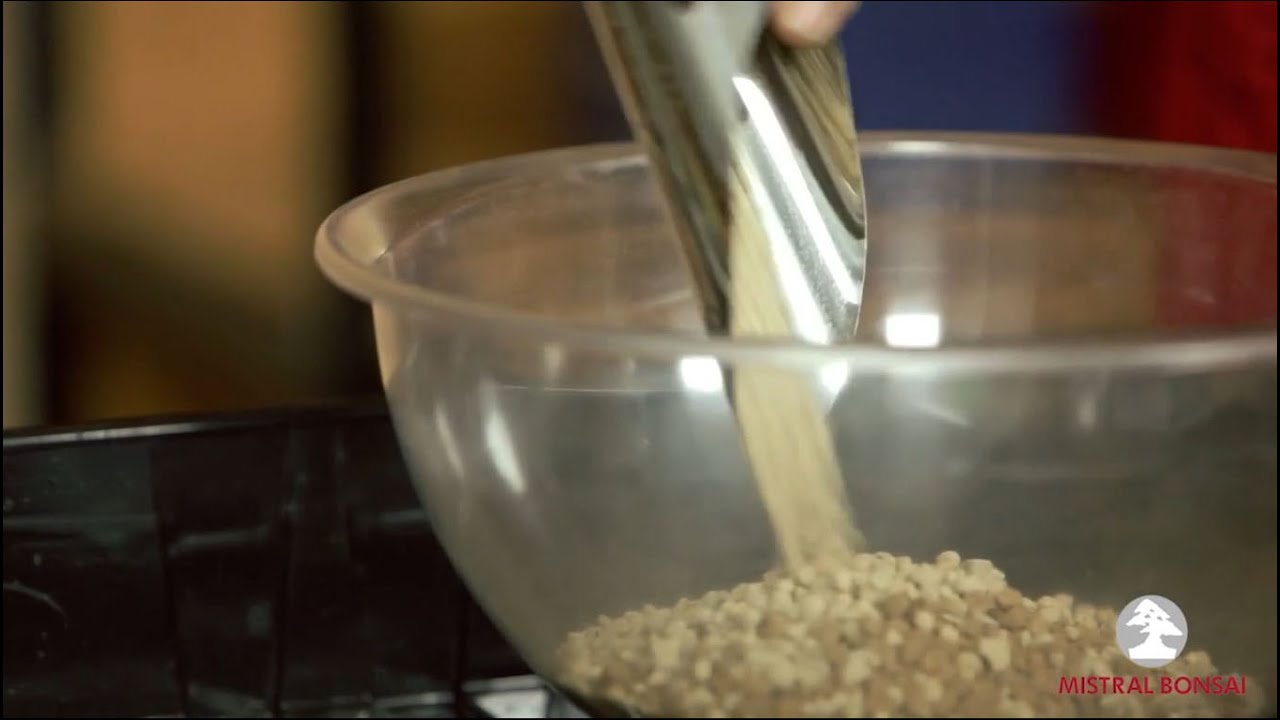 6. El trasplante: Tierra para trasplantar bonsáis