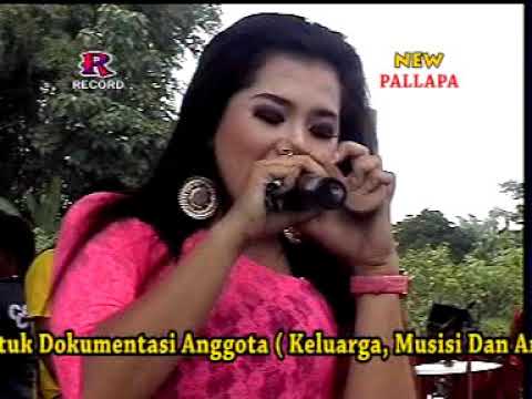 Dont Worry - Ayu Arsita - New Pallapa Pelem Watu Menganti Gresik 12 Januari 2014