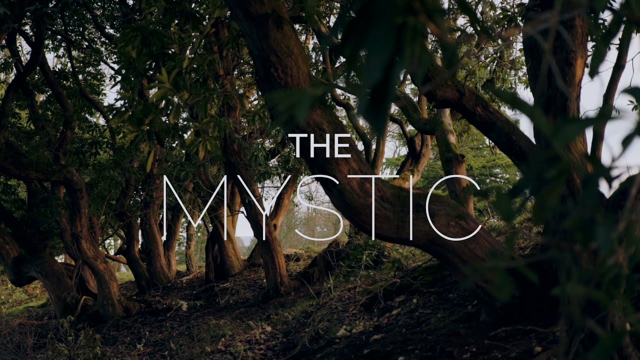 'The Mystic' - A poem by Trevor McGerrigle // Drenagh Country House & Estate
