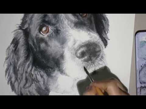 How to Paint in Watercolor - Springer Spaniel Pet Portrait by Leslie ...