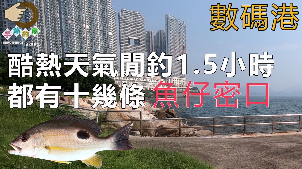 #43 閒釣1.5小時『香港釣魚 : 岸釣』數碼港海濱長廊 {中英文字幕}