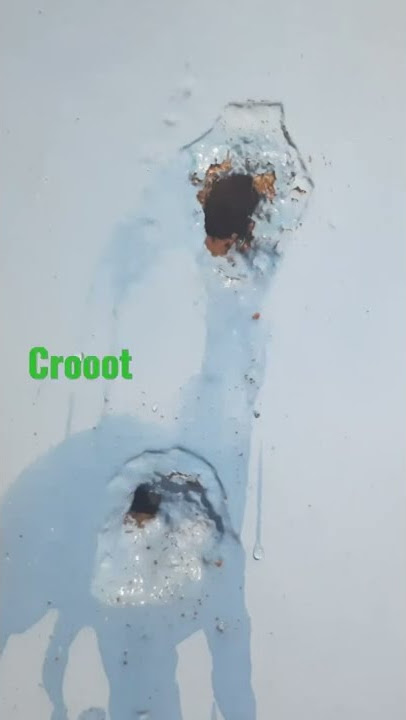 croot pada lubang