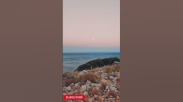 سورة الإخلاص بصوت مشاري العفاسي