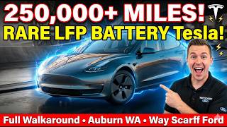 2023 Tesla Model 3 LFP Battery Walkaround | 250k+ Miles? | Auburn WA | Way Scarff Ford