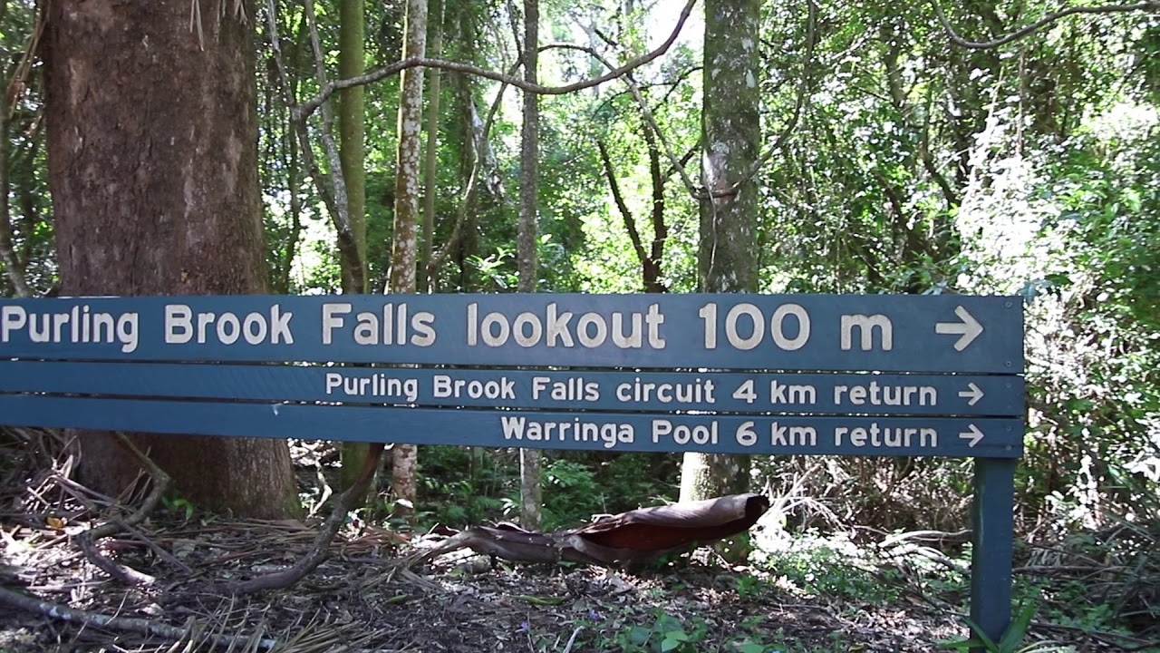 Springbrook March 2018 Youtube