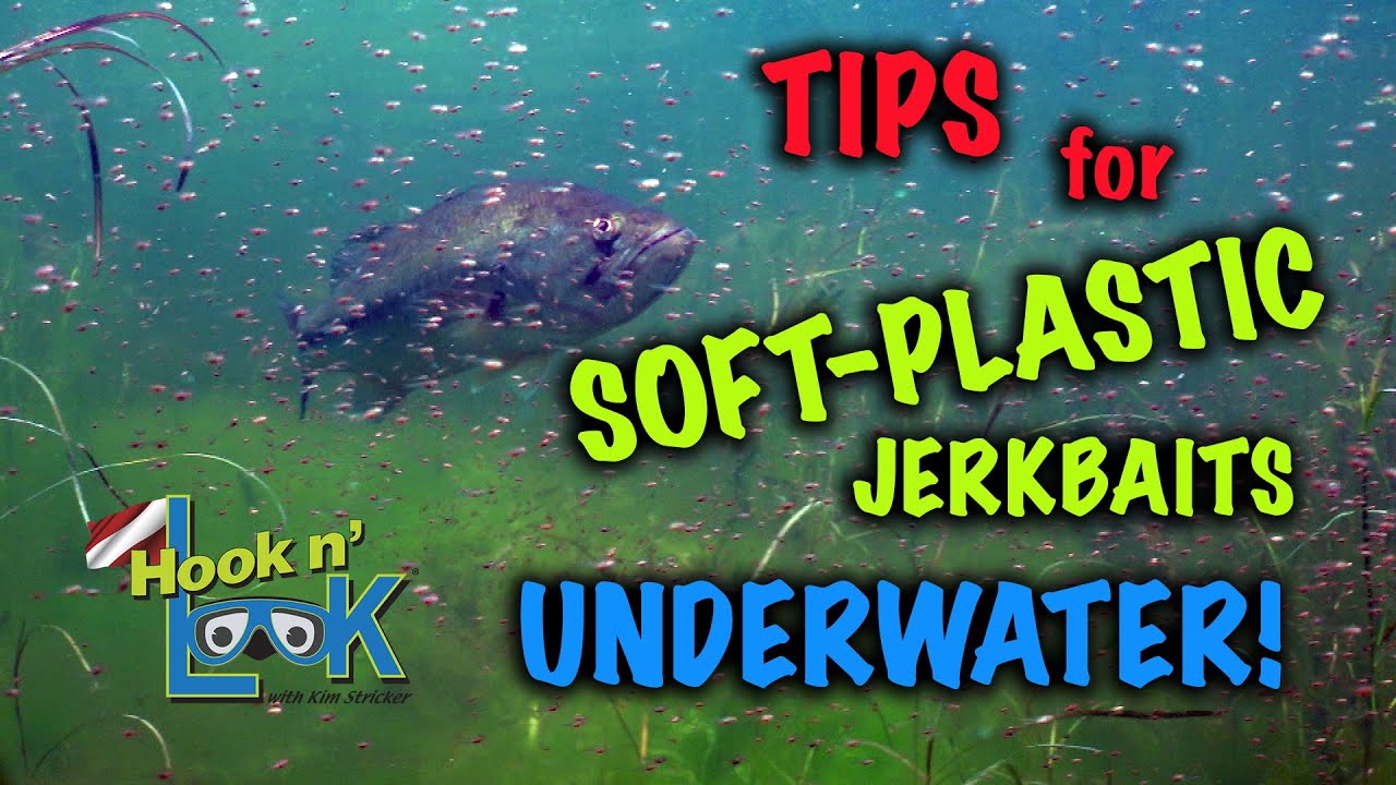 Tips for Soft Plastic Jerkbaits - UNDERWATER 