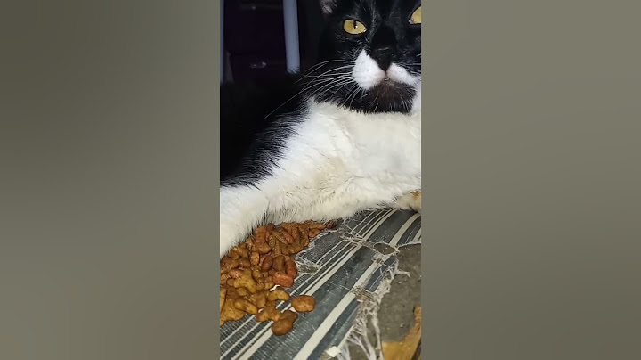 #Gato rasgou o estofado.
