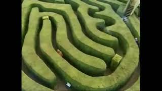 Trigger Happy TV hedge maze