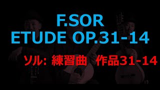 ソル エチュード Op.31-14 Sor Etude クラシックギター 練習曲 ギター教本　教則本　初級者　おすすめ　Classical Guitar