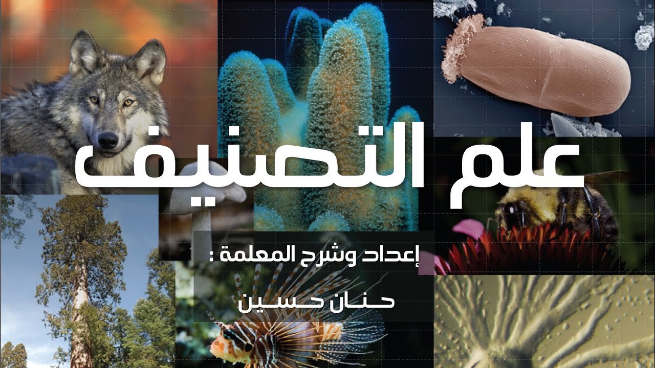 الصف السابع : علم التصنيف