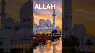 ইসলামিক ভিডিও শেয়ার করেছেন? 🤔🕋#shorts​ #islam​ #islamicstatus​ #islamic​ #motivational