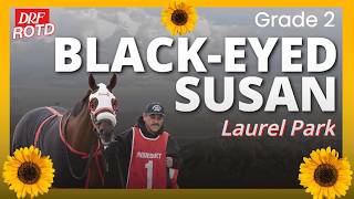 G2 Black Eyed Susan Stakes Preview @ Laurel Park | DRF Friday ROTD