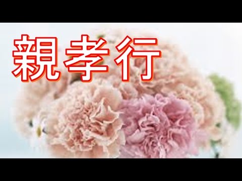 感動する話、涙する話、涙腺崩壊する話　「親孝行」【感動する話2ｃｈの感動する実話】