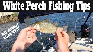 White Perch Fishing Tips & Techniques: How To Catch White Perch In A River  [Spring Spawn!] 