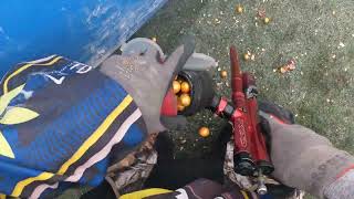 Playing Pump Paintball at the WCPPL 2025 #4