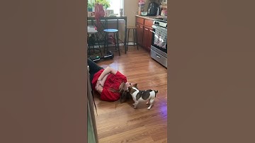 First time hoverboard fail