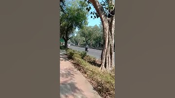 Ignou Solved Assignment BPCE 2018-19