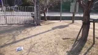 Radiation measurement 広島・旧尾道市立戸崎小学校の放射線測定20141231