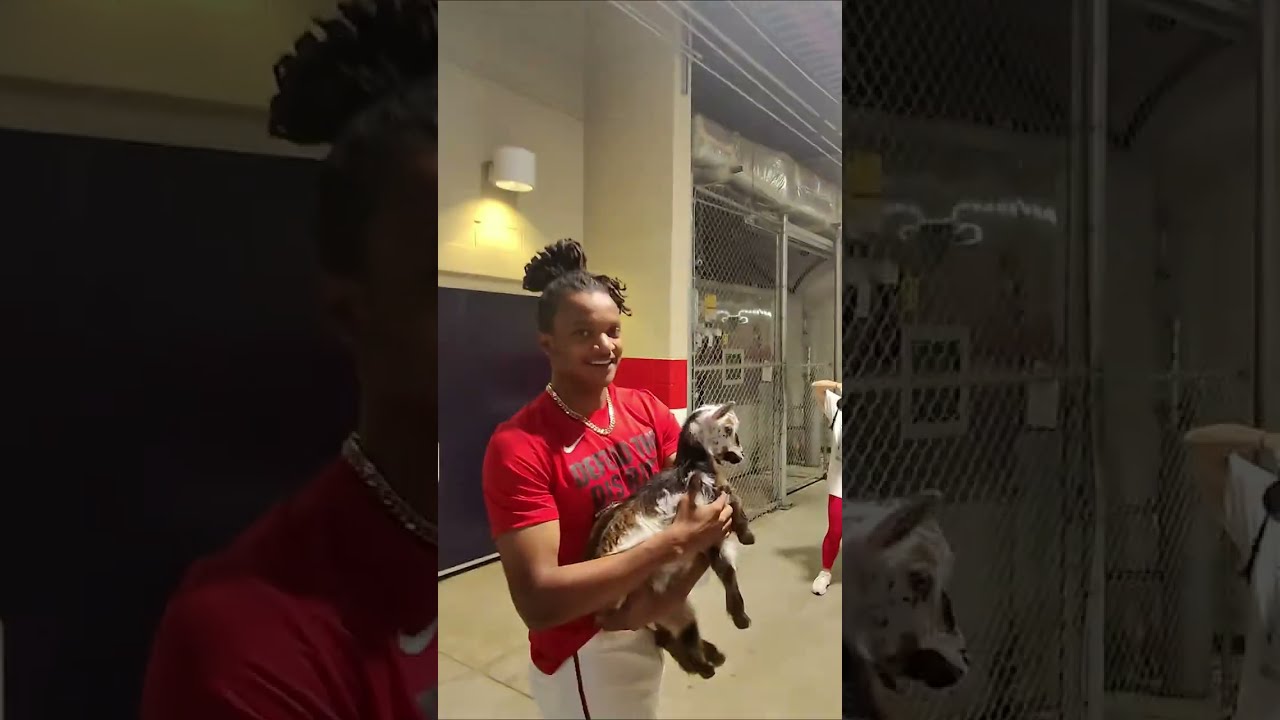 Handing the Nats a Baby Goat