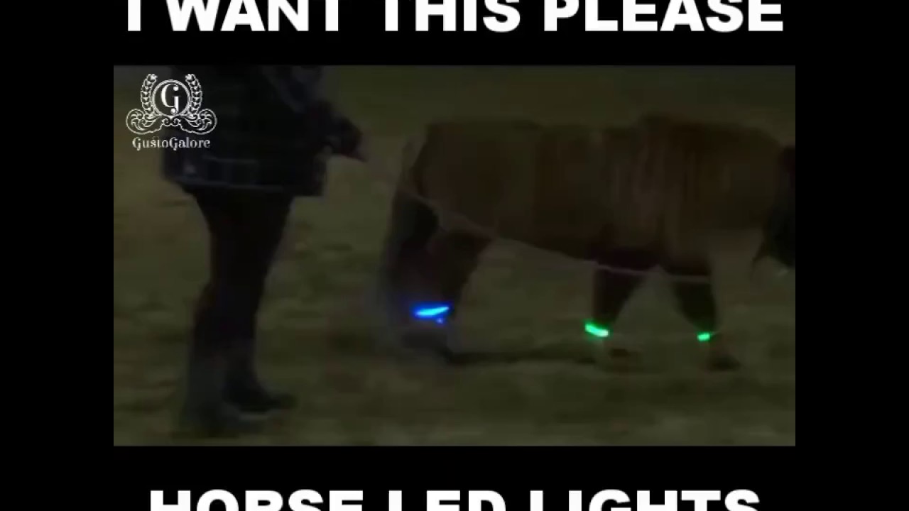 Premium Safety LED Lights