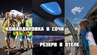 vlog стюардессы: командировка в сочи, резерв в отеле double tree, новый чемодан