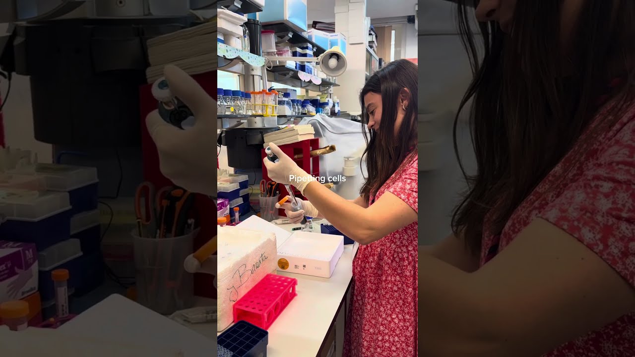 What Does Cancer Research Actually Look Like In Labs Across The World 