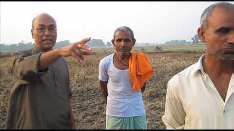 Planting without ploughing: zero-till wheat