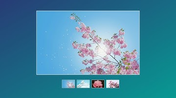 Image Gallery with thumbnail using Vanilla Javascript