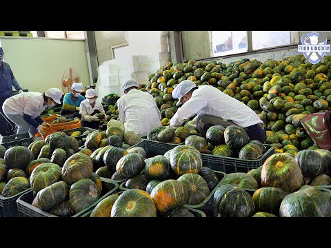 1시간 순삭! 음식공장의 대규모 생산 영상 몰아보기 / Large amount food making in korean food factory