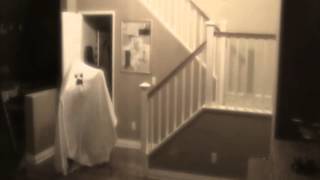 Limelight Commercial 2014