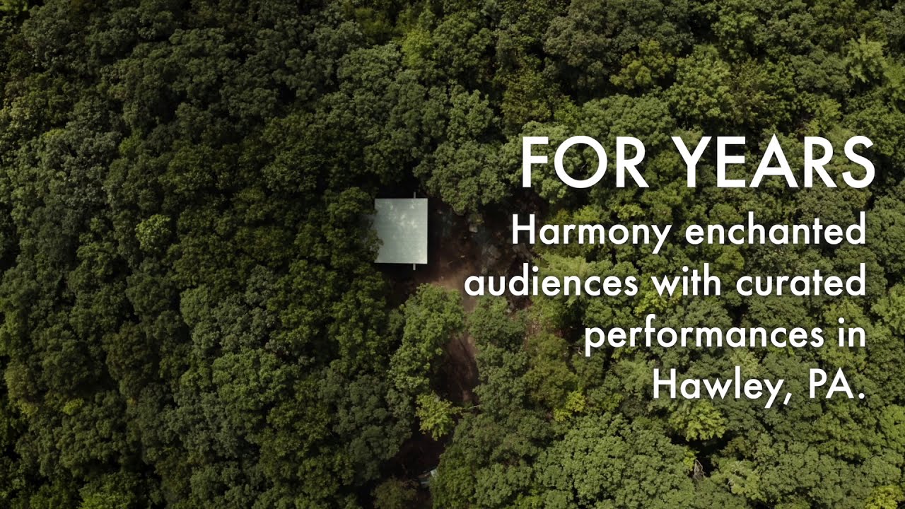 Introducing Harmony In The Woods YouTube