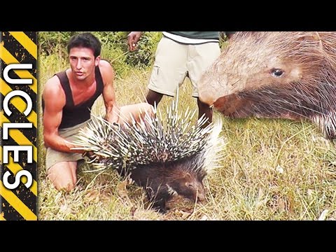 Key Components Of A Small Business Acquisition Loan