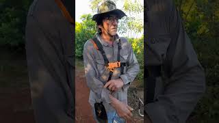 The Conflict Of The Yerba Mate Workers In misiones The Plan Of Action To Achieve a Price
