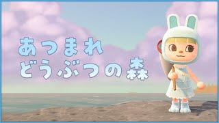 【あつ森】秋のぽて島をまったり満喫する🍁【にじさんじ/シスター・クレア】