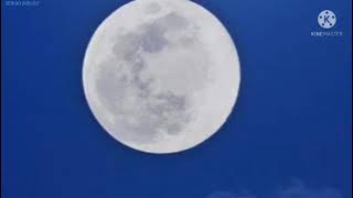 Download lagu WON'T YOU TELL ME MAGGIE MACNEAL.