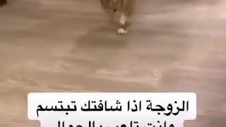 الزوجه اذا شافت زوجها