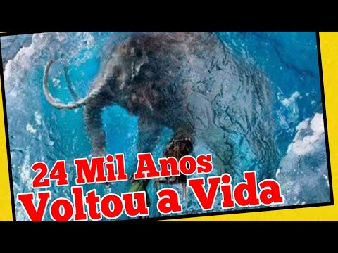 Vídeo: Ossos Aparecendo Na Terra, Trinta Anos Depois - Rede Matador