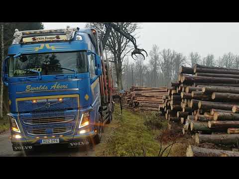 volvo-fh16-750++